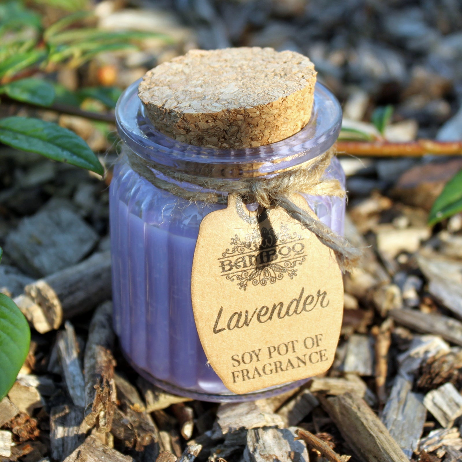 Soya Bean Fragrance Candles - Twin Pack Soy Pot Of Fragrance Candle Soul Inspired Lavender 